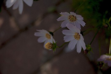 3030318