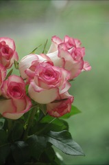 112EEBD2-3E29-437F-9398-5576E28DDCE1/L0/001