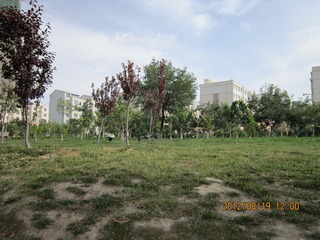 DF512631-9394-4033-A438-B9DF9BD36618/L0/001