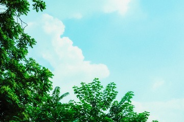 DB2A45D7-525F-4C93-9186-D3990489F698/L0/001