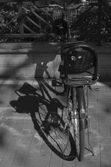 4CA49015-99A8-48E1-A130-7828BAA2C153/L0/001