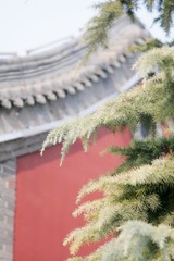 C1FD3F84-598F-45EE-8651-0D5FE57089C6/L0/001