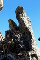 IMG_5540.JPG