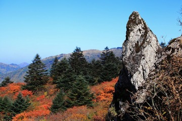 IMG_5563.JPG