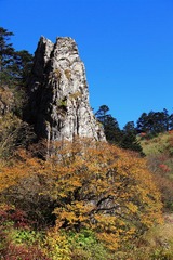 IMG_5571.JPG
