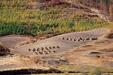 IMG_4747.JPG