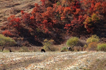 IMG_4766.JPG