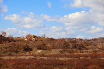 IMG_4786.JPG