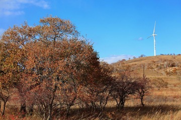 IMG_4826.JPG