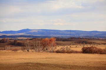 IMG_4829.JPG
