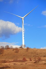 IMG_4835.JPG