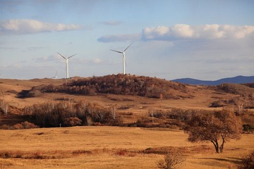 IMG_4922.JPG