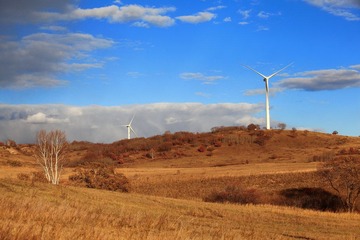 IMG_4926.JPG