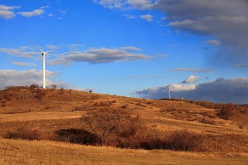 IMG_4929.JPG
