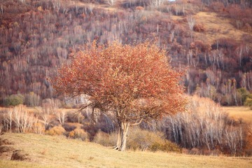 IMG_4937.JPG