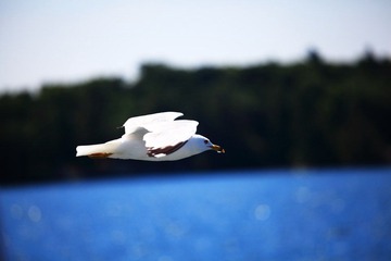 IMG_7631.JPG