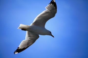 IMG_7633.JPG