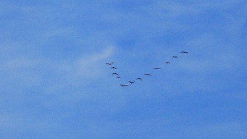 IMG_7663.JPG