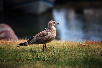 IMG_7685.JPG