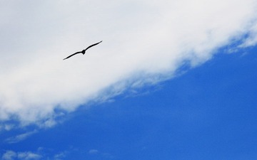 IMG_7937.JPG