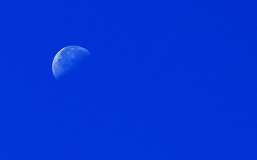 IMG_8134.JPG