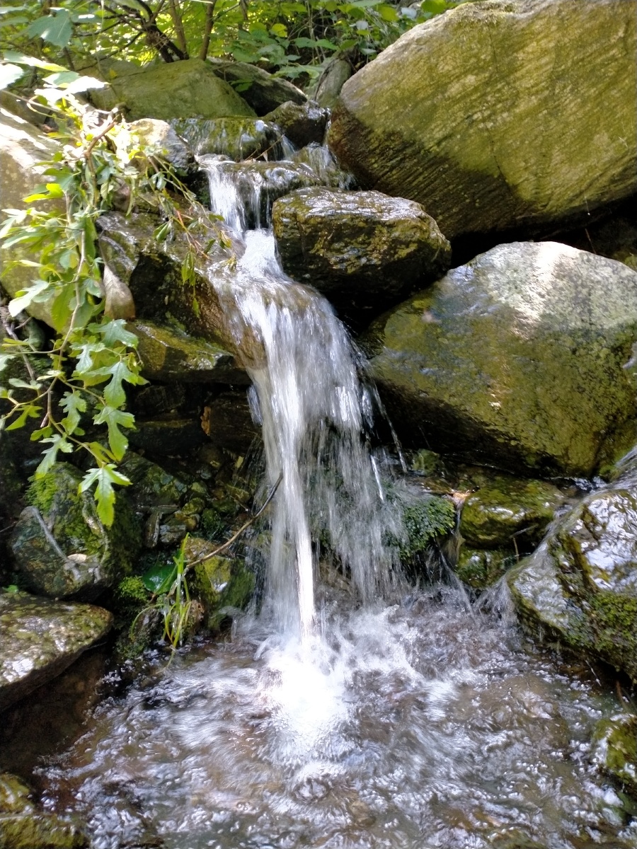 夏天的秦岭一角