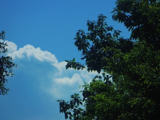 C32FF6AA-825B-4AFB-A4BA-2EEAD0AC034E/L0/001