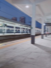 1226161