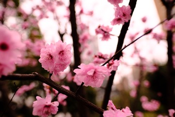 17997816-9328-4FB2-A7F5-CE8DAB03E5A7/L0/001
