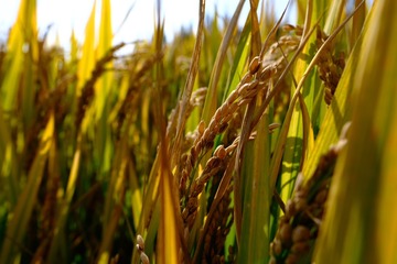 B6B68BC5-F34B-4466-B9B8-97D961093655/L0/001