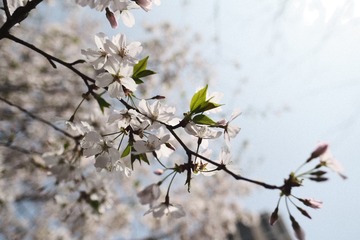 0248E94A-FBDD-49EB-A52A-B9AD41F9C4B3/L0/001