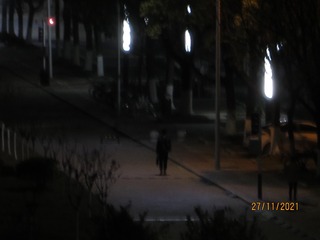 1903006