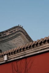 FE88E5FD-32E3-43CA-B256-165D4954938D/L0/001
