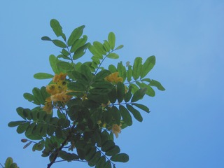 7B6918D8-AFF6-459D-8B95-EB376730F417/L0/001