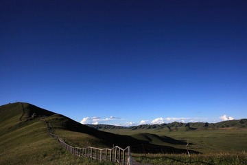 IMG_9244-1.jpg
