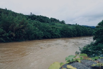 72E9C8F3-E2A9-41D1-93CE-526D0A9ED381/L0/001