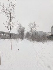 112717