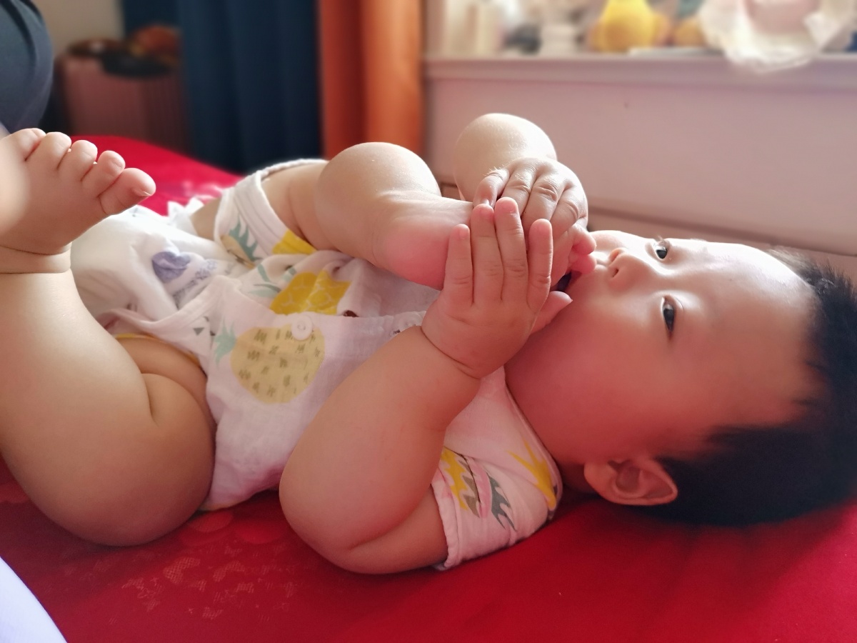 吃脚脚的小可爱