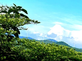 5D8074D6-4761-4D31-9A81-AA5AC80E725B/L0/001