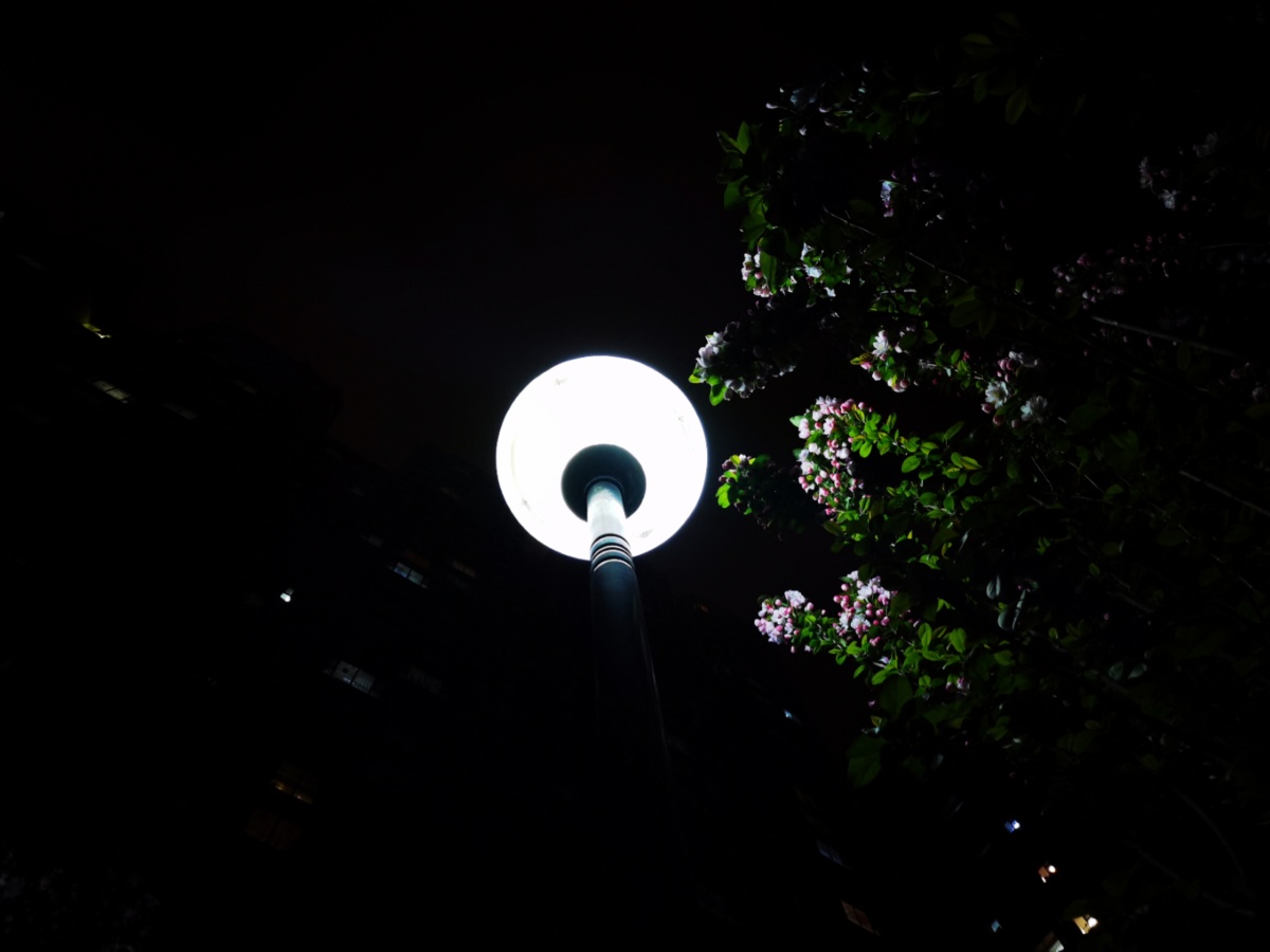 成长就像走夜路一样既没有灯也没啥人但正因为黎明很美所以你要酷酷的