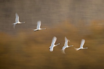 _DSC0273