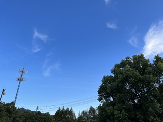 1000001791