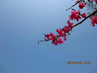 82BCEDA5-8682-4A47-99CB-05D398A7A9DB/L0/001