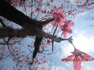 0289EECF-83BD-4E50-8276-F64BC0B8087D/L0/001