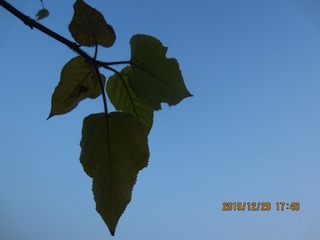 E0F7641E-395F-4412-9AE9-CEC295F8B7FC/L0/001