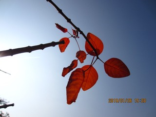 350A27A4-FA6A-4C5F-82DF-E0FB4CFE7515/L0/001