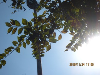 56FA2AB1-F85B-49F5-A281-C4EBEAC8B844/L0/001