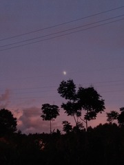 1540354