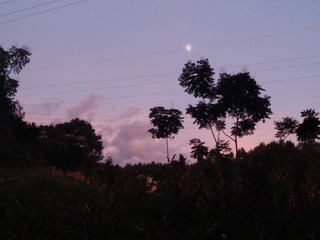 1540351