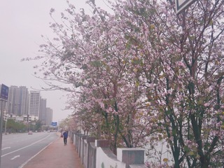 A314CA92-CF5C-432B-B132-61CCB9109E9A/L0/001